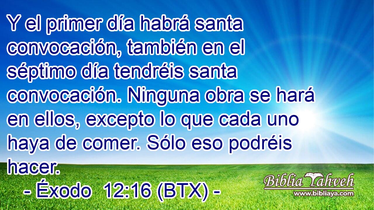 Y el primer día habrá santa convocación, también en el séptimo día tendréis santa convocación. Ninguna obra se hará en ellos, excepto lo que cada uno haya de comer. Sólo eso podréis hacer.