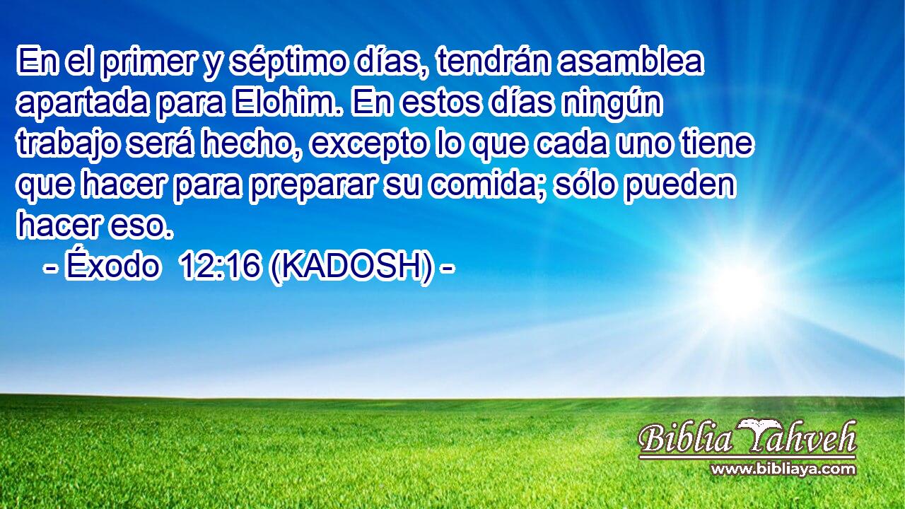  En el primer y séptimo días, tendrán asamblea apartada para Elohim. En estos días ningún trabajo será hecho, excepto lo que cada uno tiene que hacer para preparar su comida; sólo pueden hacer eso. 
