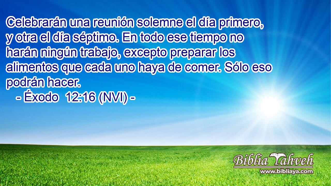  Celebrarán una reunión solemne el día primero, y otra el día séptimo. En todo ese tiempo no harán ningún trabajo, excepto preparar los alimentos que cada uno haya de comer. Sólo eso podrán hacer. 