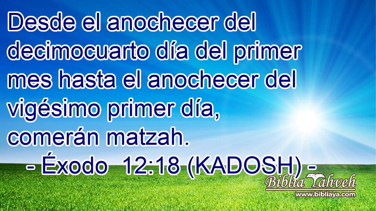  Desde el anochecer del decimocuarto día del primer mes hasta el anochecer del vigésimo primer día, comerán matzah. 