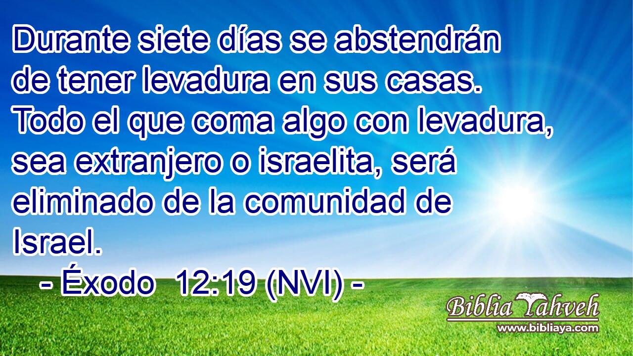  Durante siete días se abstendrán de tener levadura en sus casas. Todo el que coma algo con levadura, sea extranjero o israelita, será eliminado de la comunidad de Israel. 