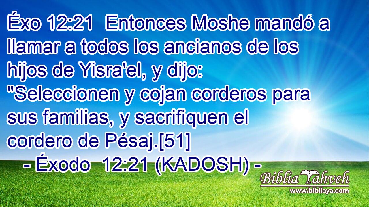  Entonces Moshe mandó a llamar a todos los ancianos de los hijos de Yisra'el, y dijo: 