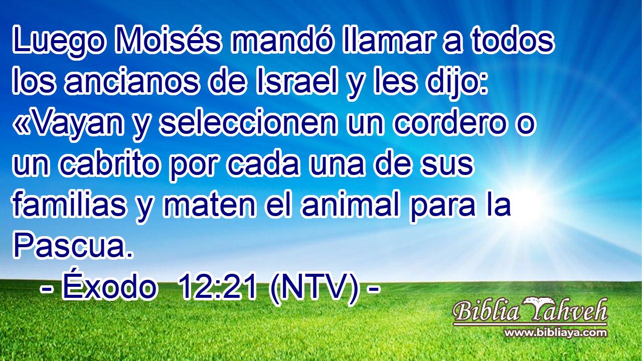 Luego Moisés mandó llamar a todos los ancianos de Israel y les dijo: «Vayan y seleccionen un cordero o un cabrito por cada una de sus familias y maten el animal para la Pascua.