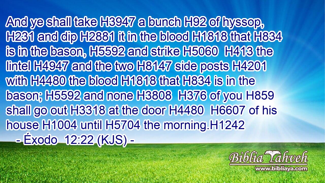 And ye shall take H3947 a bunch H92 of hyssop, H231 and dip H2881 it in the blood H1818 that H834 is in the bason, H5592 and strike H5060  H413 the lintel H4947 and the two H8147 side posts H4201 with H4480 the blood H1818 that H834 is in the bason; H5592 and none H3808  H376 of you H859 shall go out H3318 at the door H4480  H6607 of his house H1004 until H5704 the morning.H1242