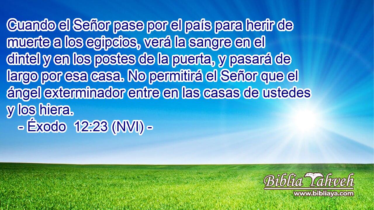  Cuando el Señor pase por el país para herir de muerte a los egipcios, verá la sangre en el dintel y en los postes de la puerta, y pasará de largo por esa casa. No permitirá el Señor que el ángel exterminador entre en las casas de ustedes y los hiera. 