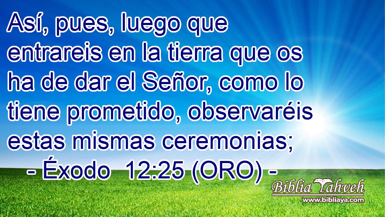  Así, pues, luego que entrareis en la tierra que os ha de dar el Señor, como lo tiene prometido, observaréis estas mismas ceremonias; 