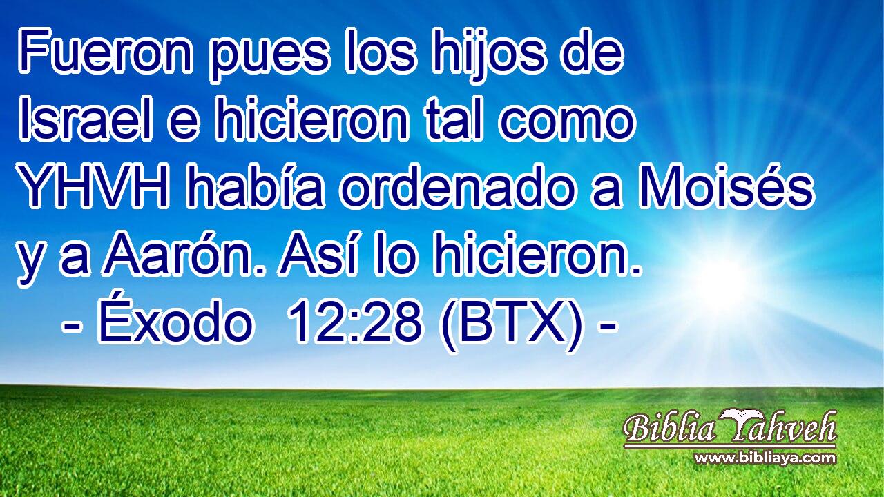 Fueron pues los hijos de Israel e hicieron tal como YHVH había ordenado a Moisés y a Aarón. Así lo hicieron.