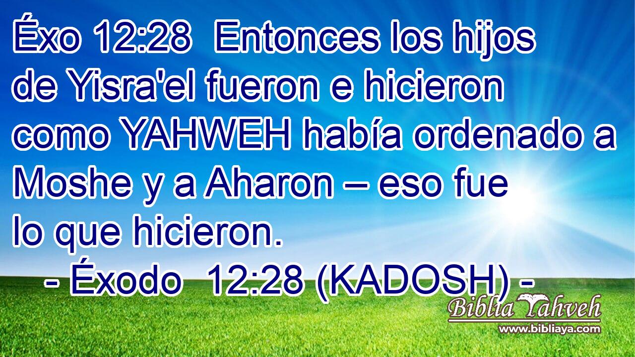  Entonces los hijos de Yisra'el fueron e hicieron como YAHWEH había ordenado a Moshe y a Aharon – eso fue lo que hicieron. 