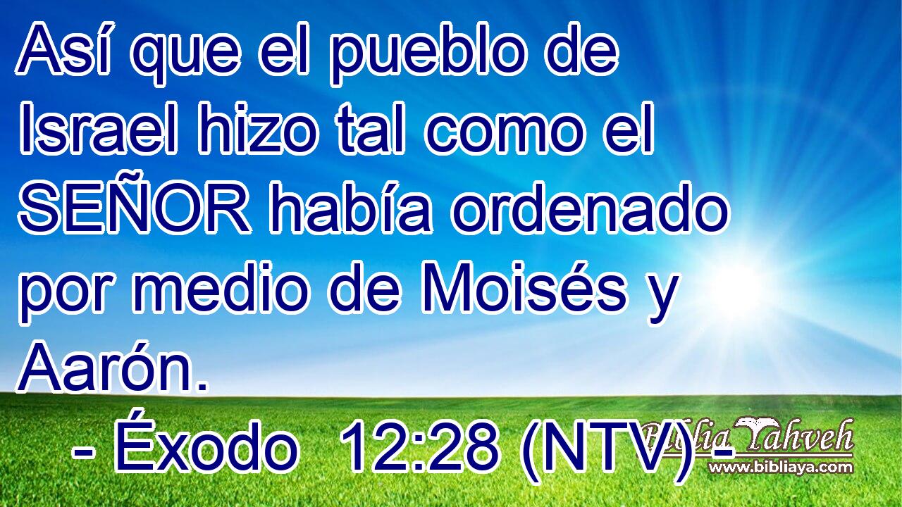 Así que el pueblo de Israel hizo tal como el SEÑOR había ordenado por medio de Moisés y Aarón.