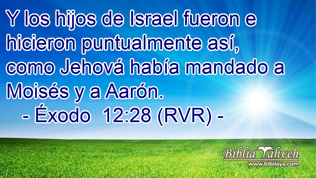 Y los hijos de Israel fueron e hicieron puntualmente así, como Jehová había mandado a Moisés y a Aarón.