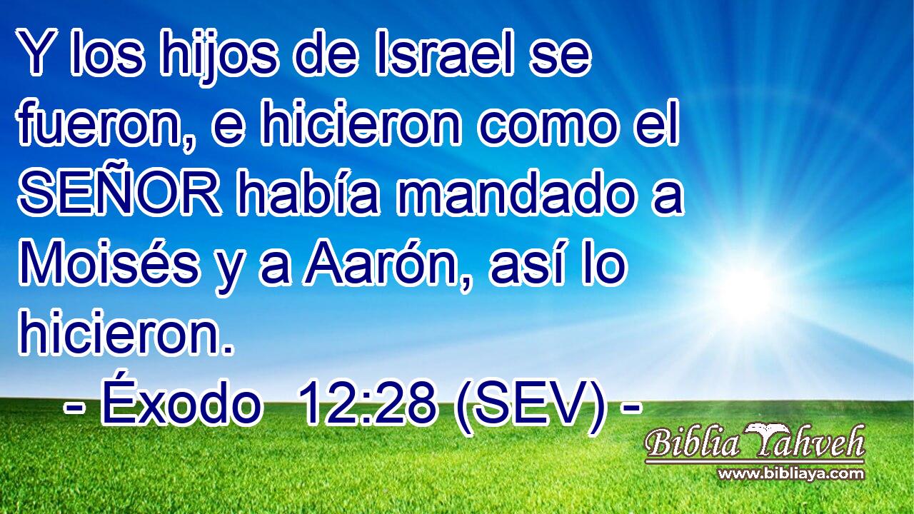 Y los hijos de Israel se fueron, e hicieron como el SEÑOR había mandado a Moisés y a Aarón, así lo hicieron.