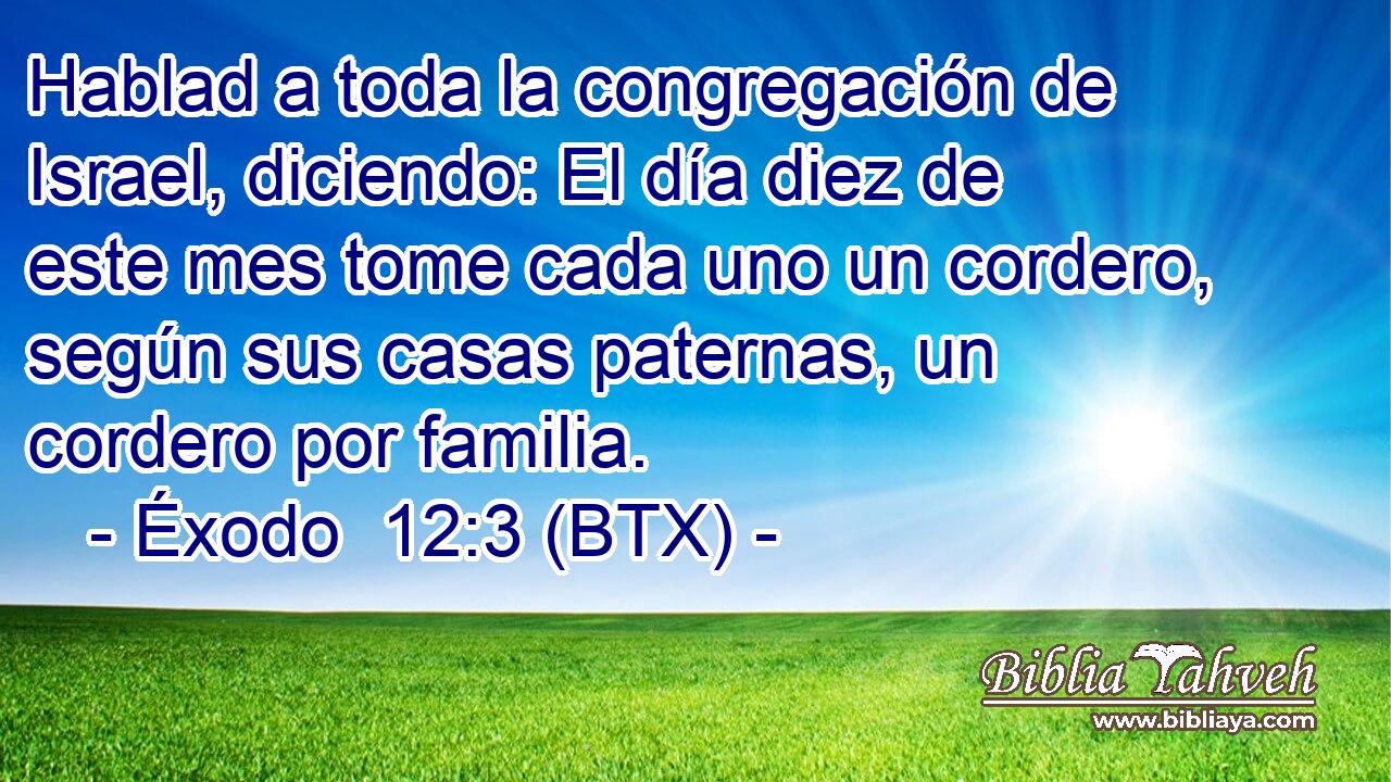 Hablad a toda la congregación de Israel, diciendo: El día diez de este mes tome cada uno un cordero, según sus casas paternas, un cordero por familia.