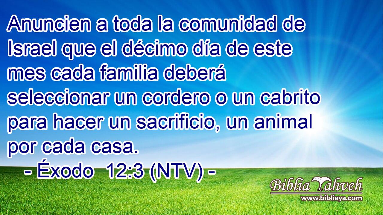 Anuncien a toda la comunidad de Israel que el décimo día de este mes cada familia deberá seleccionar un cordero o un cabrito para hacer un sacrificio, un animal por cada casa.
