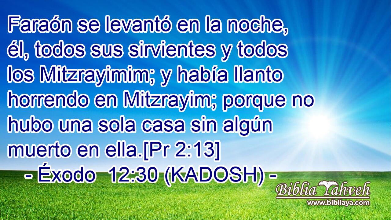  Faraón se levantó en la noche, él, todos sus sirvientes y todos los Mitzrayimim; y había llanto horrendo en Mitzrayim; porque no hubo una sola casa sin algún muerto en ella.[Pr 2:13] 