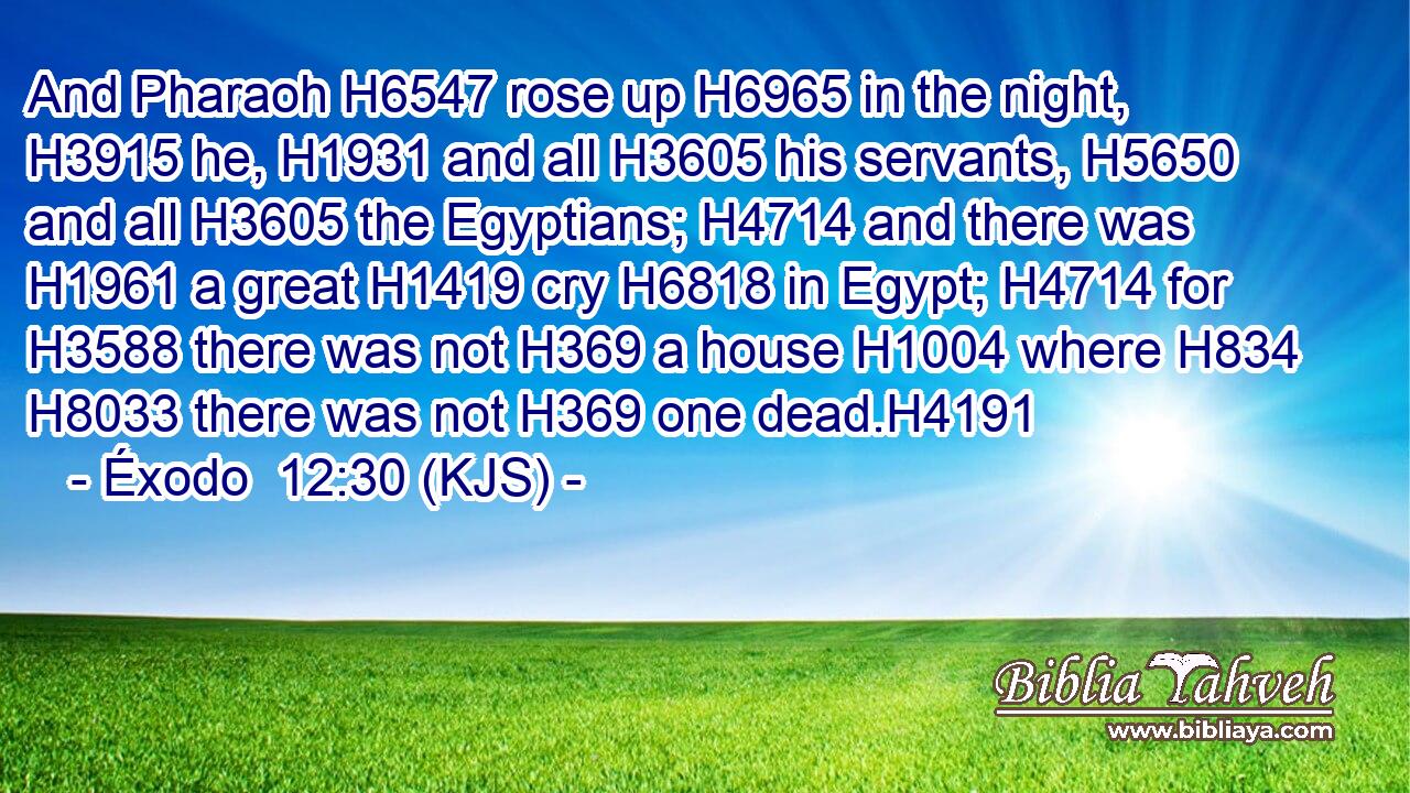 And Pharaoh H6547 rose up H6965 in the night, H3915 he, H1931 and all H3605 his servants, H5650 and all H3605 the Egyptians; H4714 and there was H1961 a great H1419 cry H6818 in Egypt; H4714 for H3588 there was not H369 a house H1004 where H834  H8033 there was not H369 one dead.H4191
