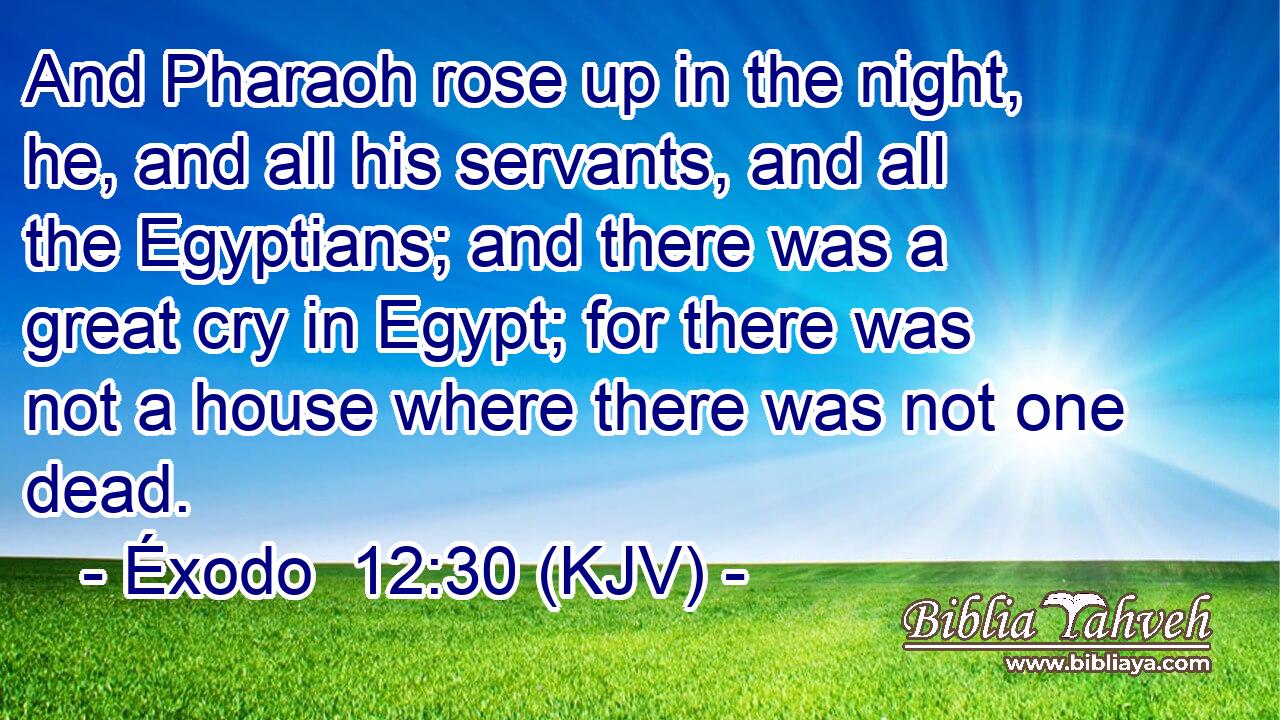 And Pharaoh rose up in the night, he, and all his servants, and all the Egyptians; and there was a great cry in Egypt; for there was not a house where there was not one dead.