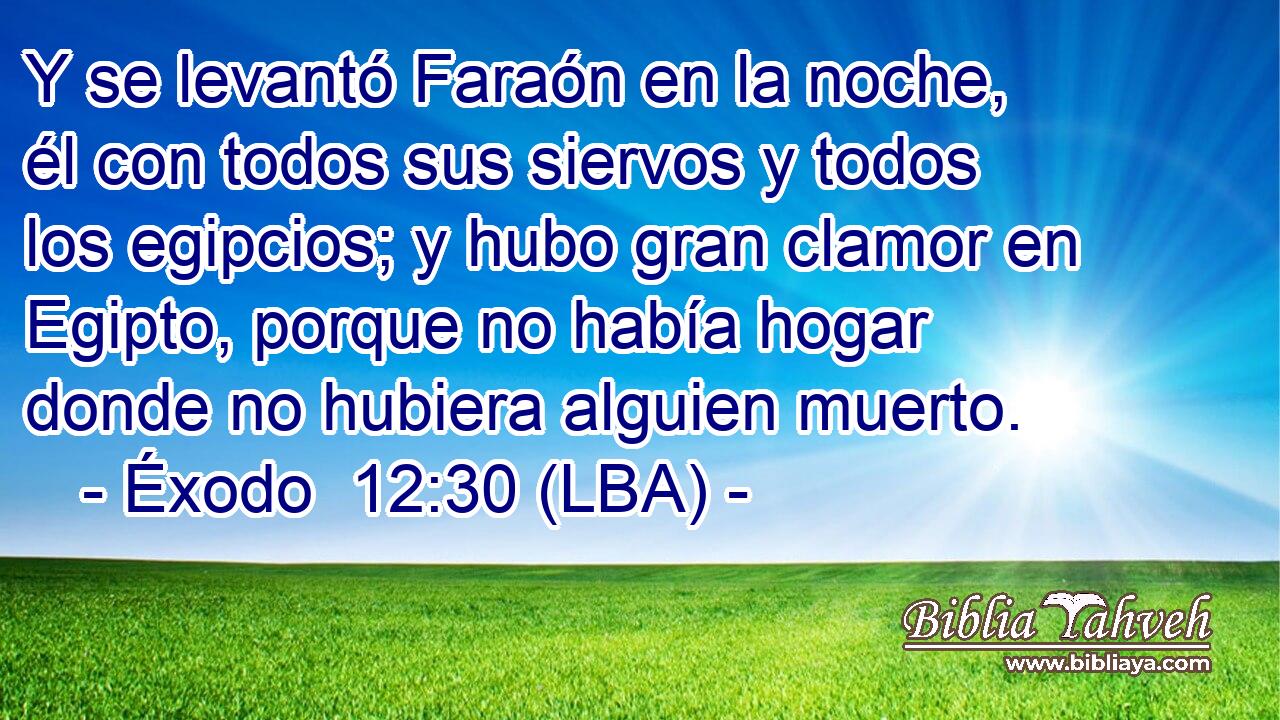 Y se levantó Faraón en la noche, él con todos sus siervos y todos los egipcios; y hubo gran clamor en Egipto, porque no había hogar donde no hubiera alguien muerto.