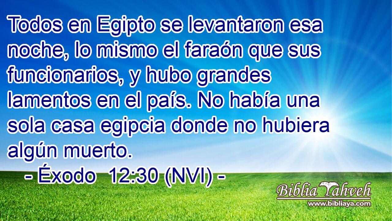  Todos en Egipto se levantaron esa noche, lo mismo el faraón que sus funcionarios, y hubo grandes lamentos en el país. No había una sola casa egipcia donde no hubiera algún muerto. 