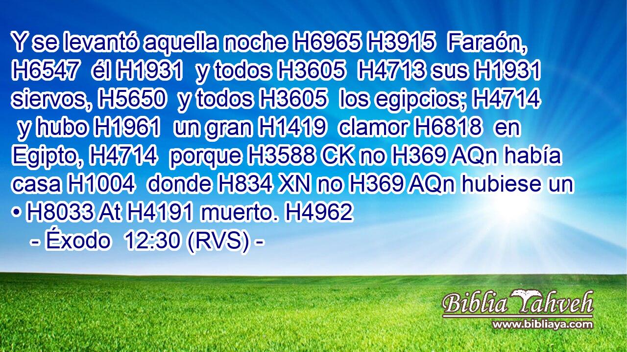 Y se levantó aquella noche H6965 H3915  Faraón, H6547  él H1931  y todos H3605  H4713 sus H1931  siervos, H5650  y todos H3605  los egipcios; H4714  y hubo H1961  un gran H1419  clamor H6818  en Egipto, H4714  porque H3588 CK no H369 AQn había casa H1004  donde H834 XN no H369 AQn hubiese un • H8033 At H4191 muerto. H4962  