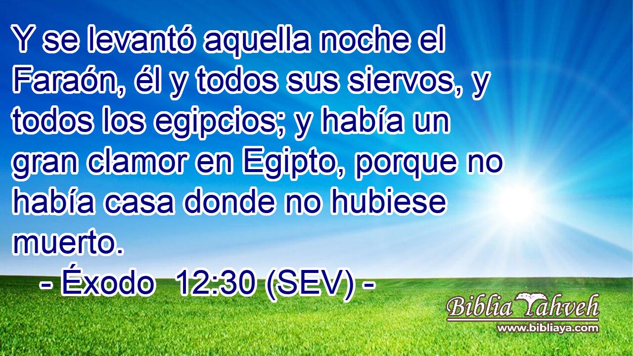 Y se levantó aquella noche el Faraón, él y todos sus siervos, y todos los egipcios; y había un gran clamor en Egipto, porque no había casa donde no hubiese muerto.