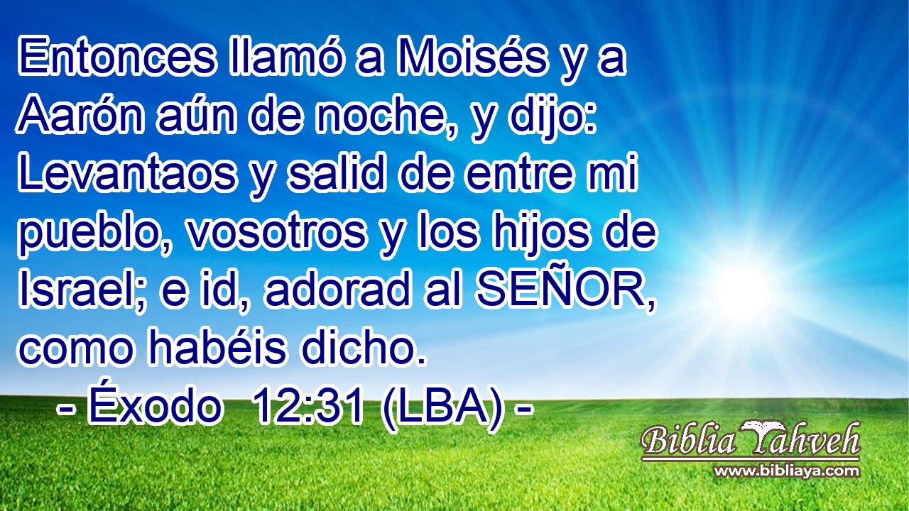 Entonces llamó a Moisés y a Aarón aún de noche, y dijo: Levantaos y salid de entre mi pueblo, vosotros y los hijos de Israel; e id, adorad al SEÑOR, como habéis dicho.