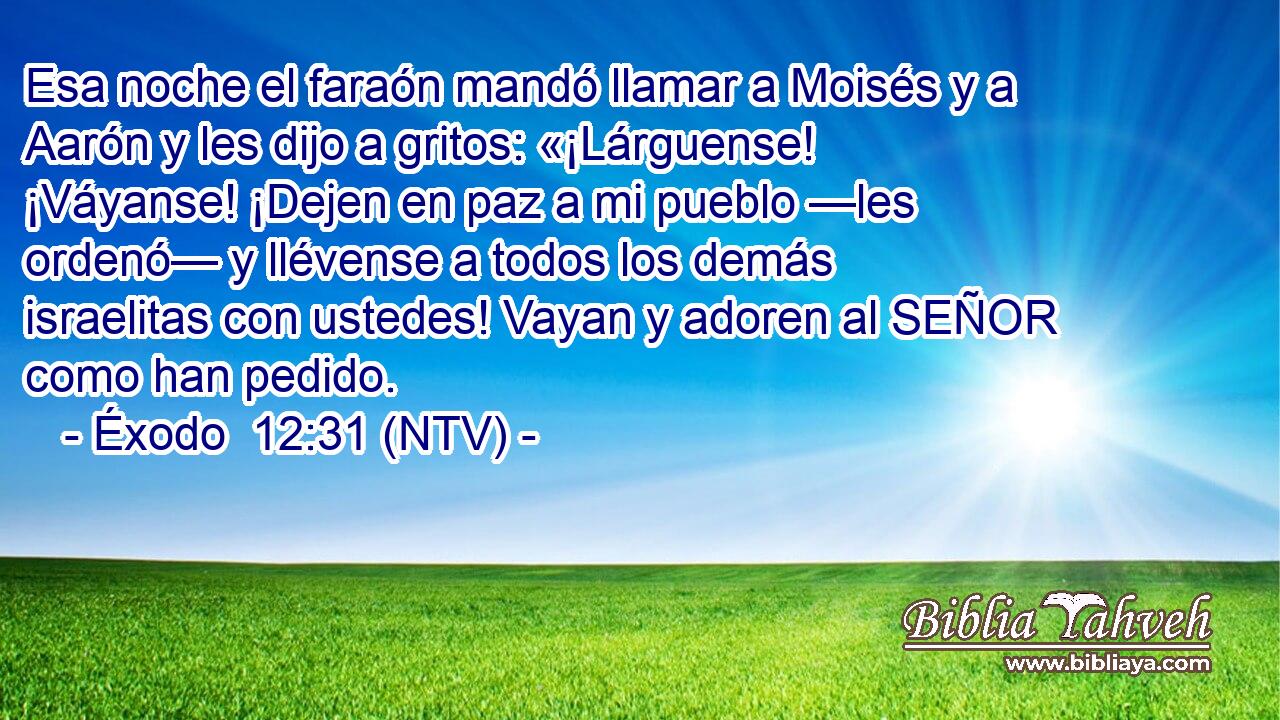 Esa noche el faraón mandó llamar a Moisés y a Aarón y les dijo a gritos: «¡Lárguense! ¡Váyanse! ¡Dejen en paz a mi pueblo —les ordenó— y llévense a todos los demás israelitas con ustedes! Vayan y adoren al SEÑOR como han pedido.