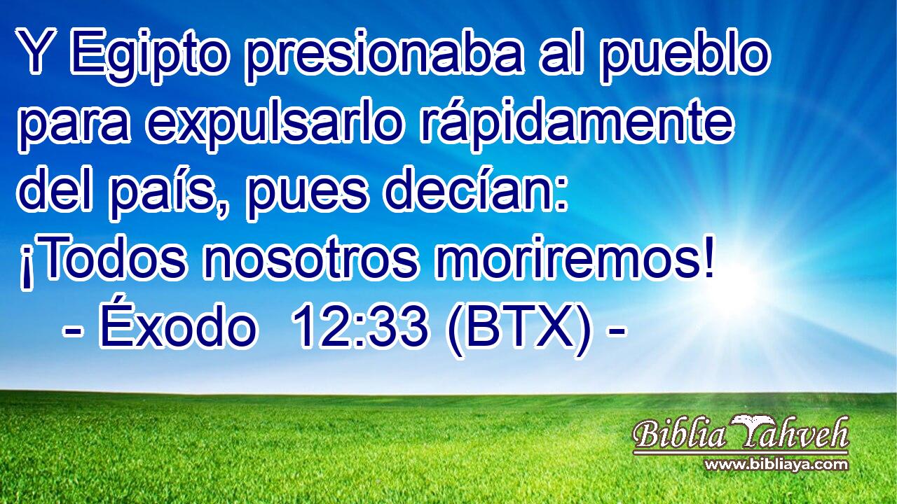 Y Egipto presionaba al pueblo para expulsarlo rápidamente del país, pues decían: ¡Todos nosotros moriremos!