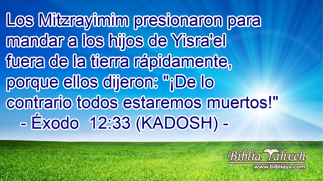  Los Mitzrayimim presionaron para mandar a los hijos de Yisra'el fuera de la tierra rápidamente, porque ellos dijeron: 