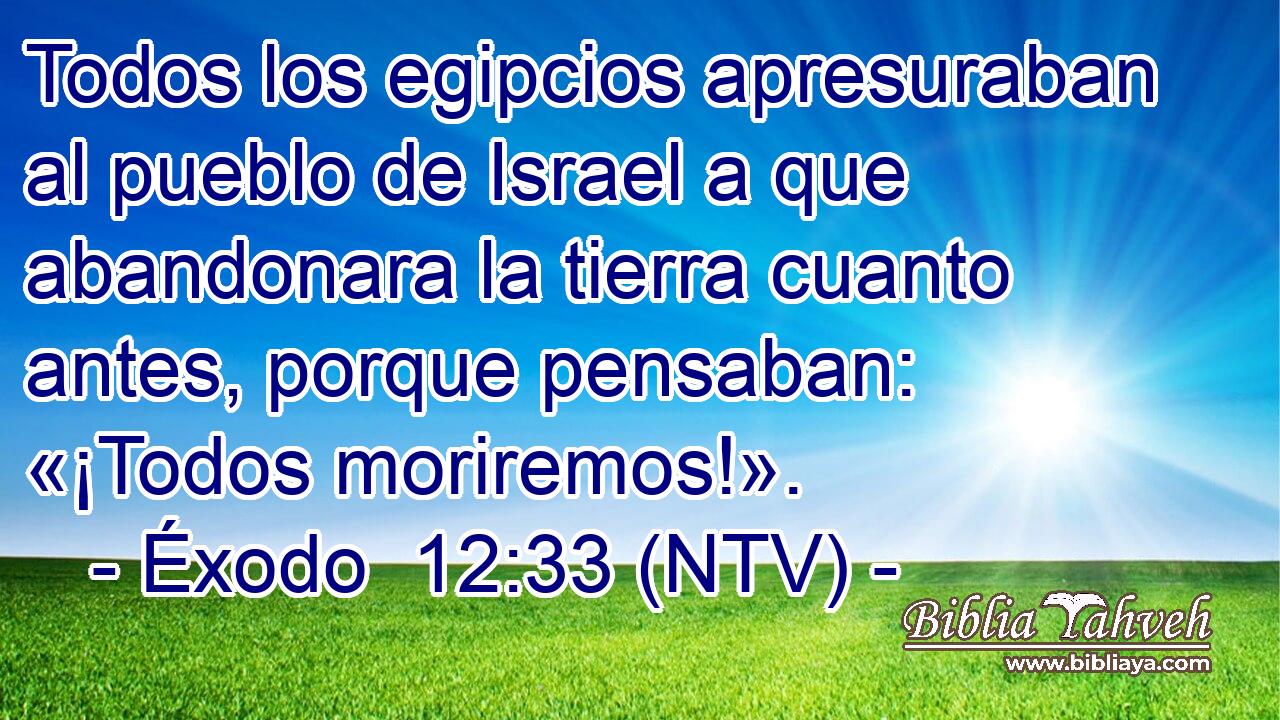 Todos los egipcios apresuraban al pueblo de Israel a que abandonara la tierra cuanto antes, porque pensaban: «¡Todos moriremos!».