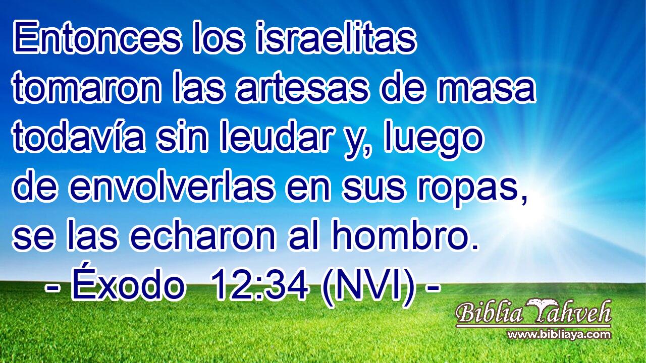  Entonces los israelitas tomaron las artesas de masa todavía sin leudar y, luego de envolverlas en sus ropas, se las echaron al hombro. 