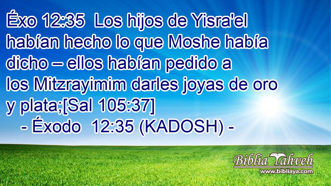  Los hijos de Yisra'el habían hecho lo que Moshe había dicho – ellos habían pedido a los Mitzrayimim darles joyas de oro y plata;[Sal 105:37] 