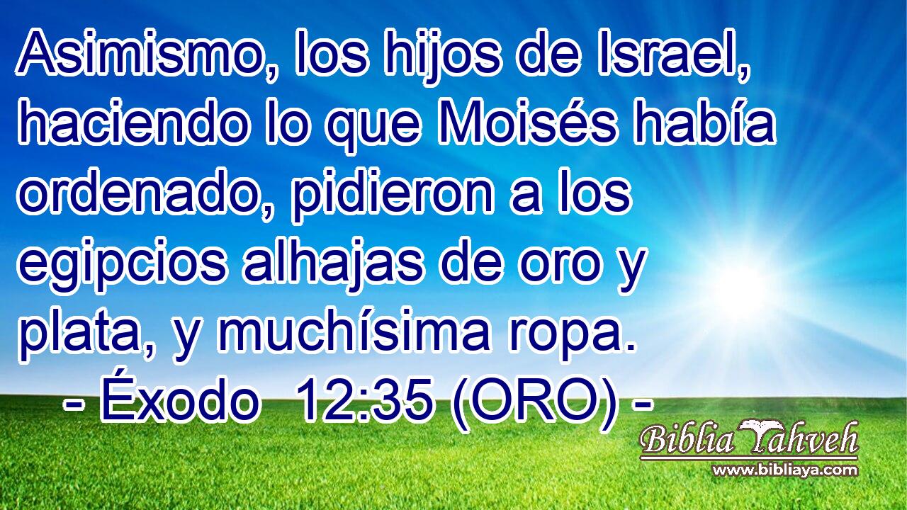  Asimismo, los hijos de Israel, haciendo lo que Moisés había ordenado, pidieron a los egipcios alhajas de oro y plata, y muchísima ropa. 