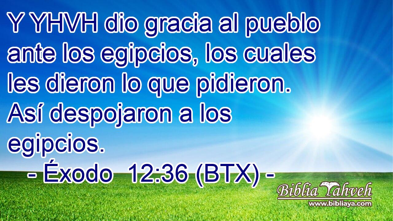 Y YHVH dio gracia al pueblo ante los egipcios, los cuales les dieron lo que pidieron. Así despojaron a los egipcios.