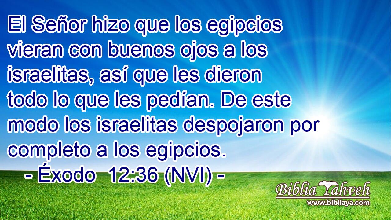  El Señor hizo que los egipcios vieran con buenos ojos a los israelitas, así que les dieron todo lo que les pedían. De este modo los israelitas despojaron por completo a los egipcios. 