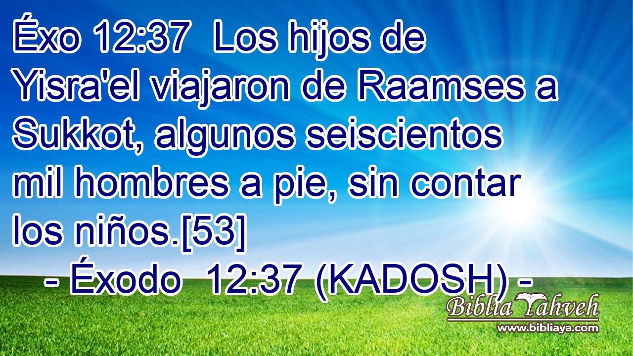  Los hijos de Yisra'el viajaron de Raamses a Sukkot, algunos seiscientos mil hombres a pie, sin contar los niños.[53] 