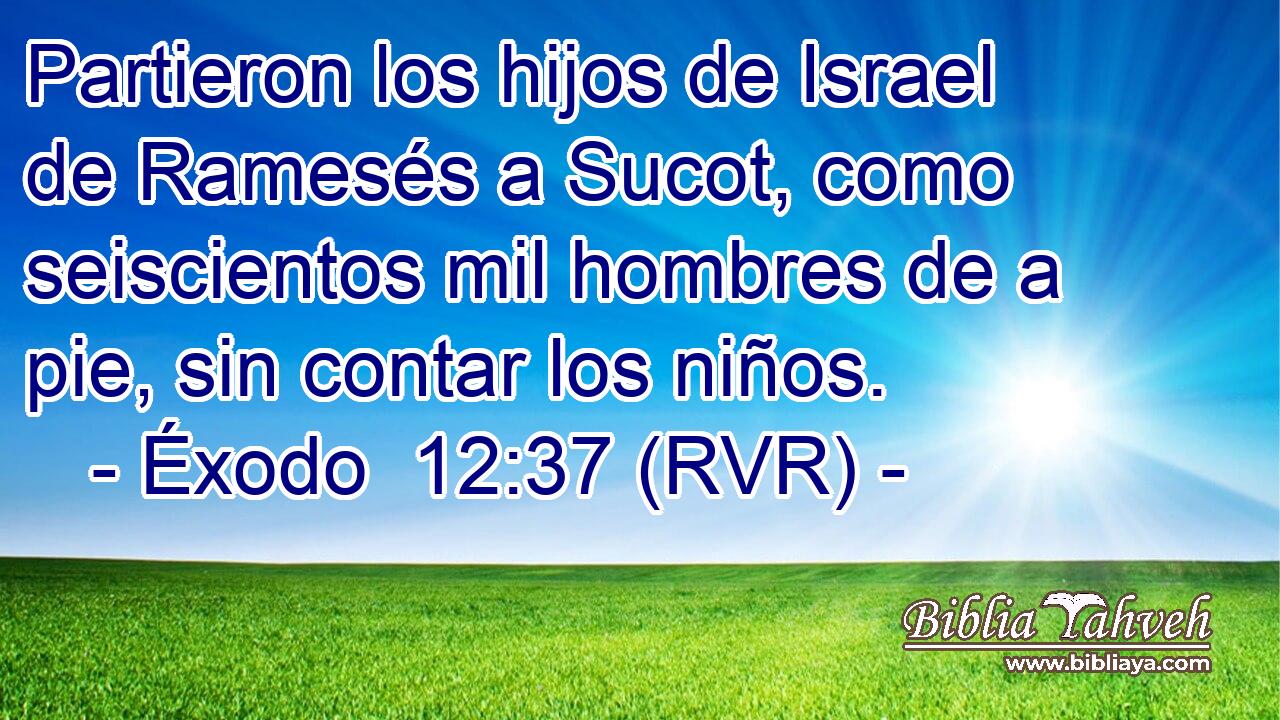 Partieron los hijos de Israel de Ramesés a Sucot, como seiscientos mil hombres de a pie, sin contar los niños.