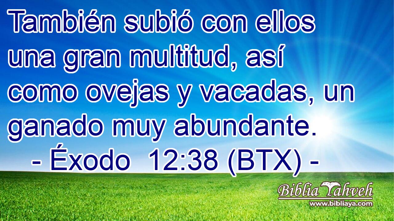 También subió con ellos una gran multitud, así como ovejas y vacadas, un ganado muy abundante.