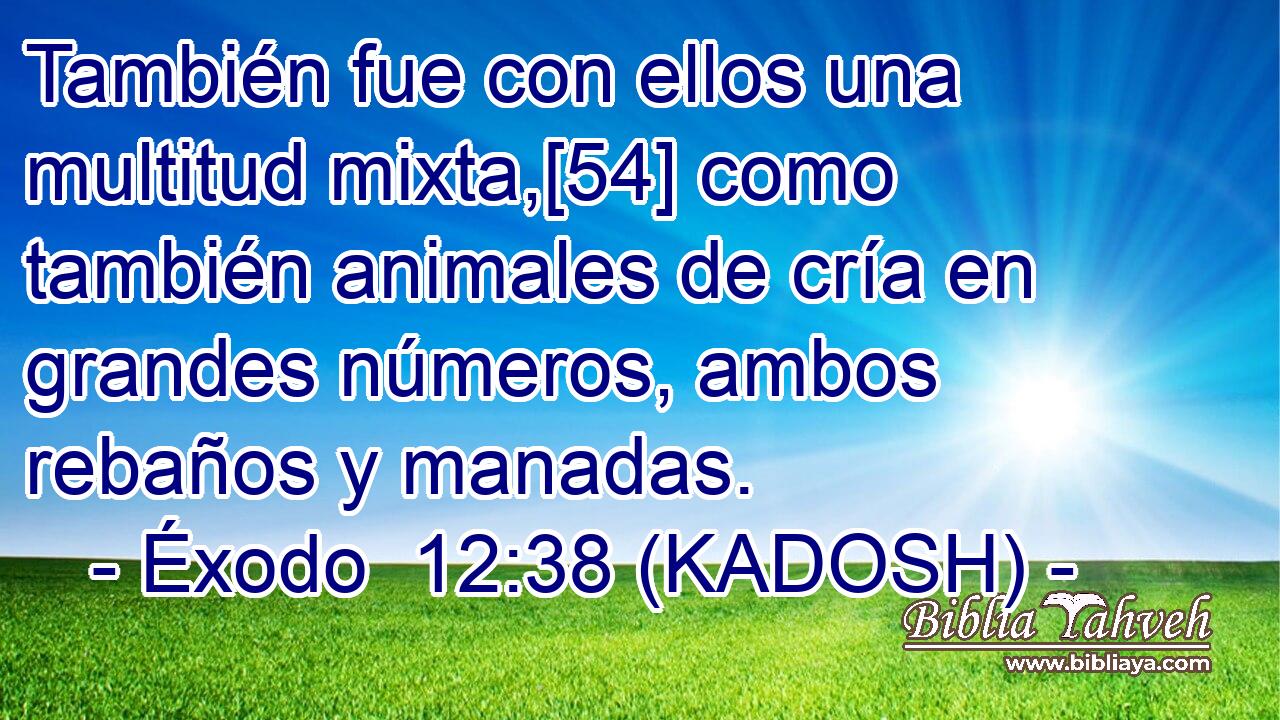  También fue con ellos una multitud mixta,[54] como también animales de cría en grandes números, ambos rebaños y manadas. 