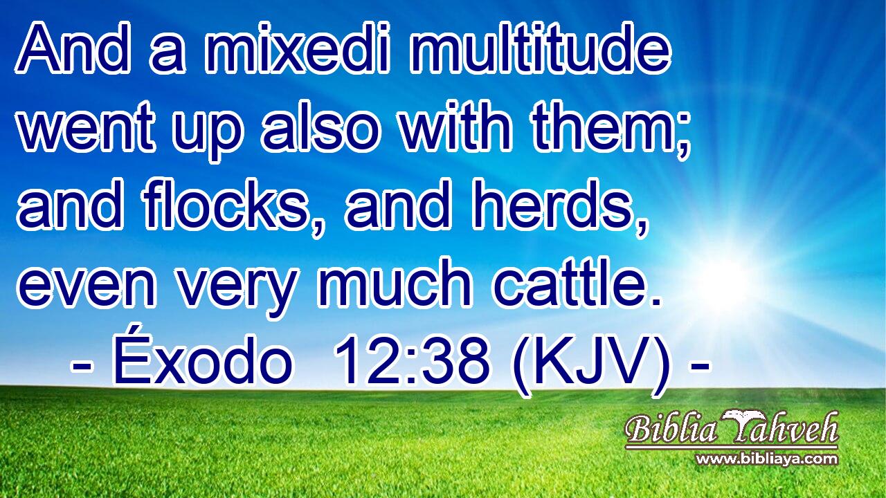 And a mixedi multitude went up also with them; and flocks, and herds, even very much cattle.