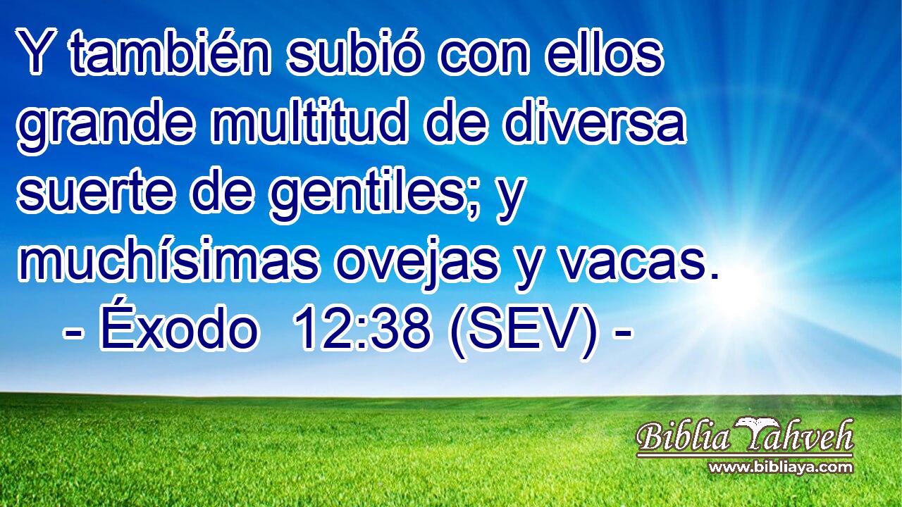 Y también subió con ellos grande multitud de diversa suerte de gentiles; y muchísimas ovejas y vacas.