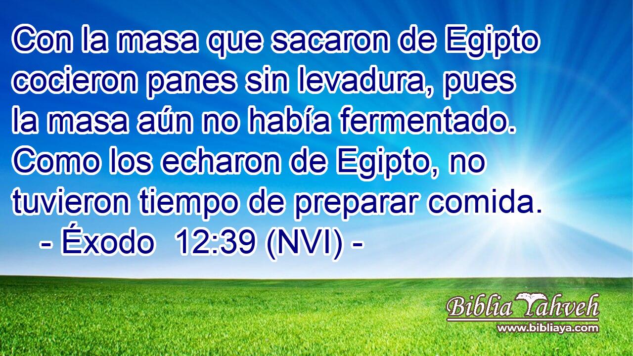  Con la masa que sacaron de Egipto cocieron panes sin levadura, pues la masa aún no había fermentado. Como los echaron de Egipto, no tuvieron tiempo de preparar comida. 