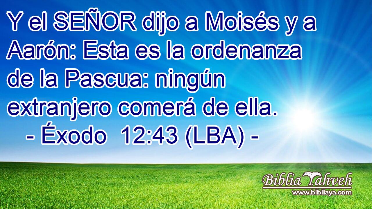 Y el SEÑOR dijo a Moisés y a Aarón: Esta es la ordenanza de la Pascua: ningún extranjero comerá de ella.