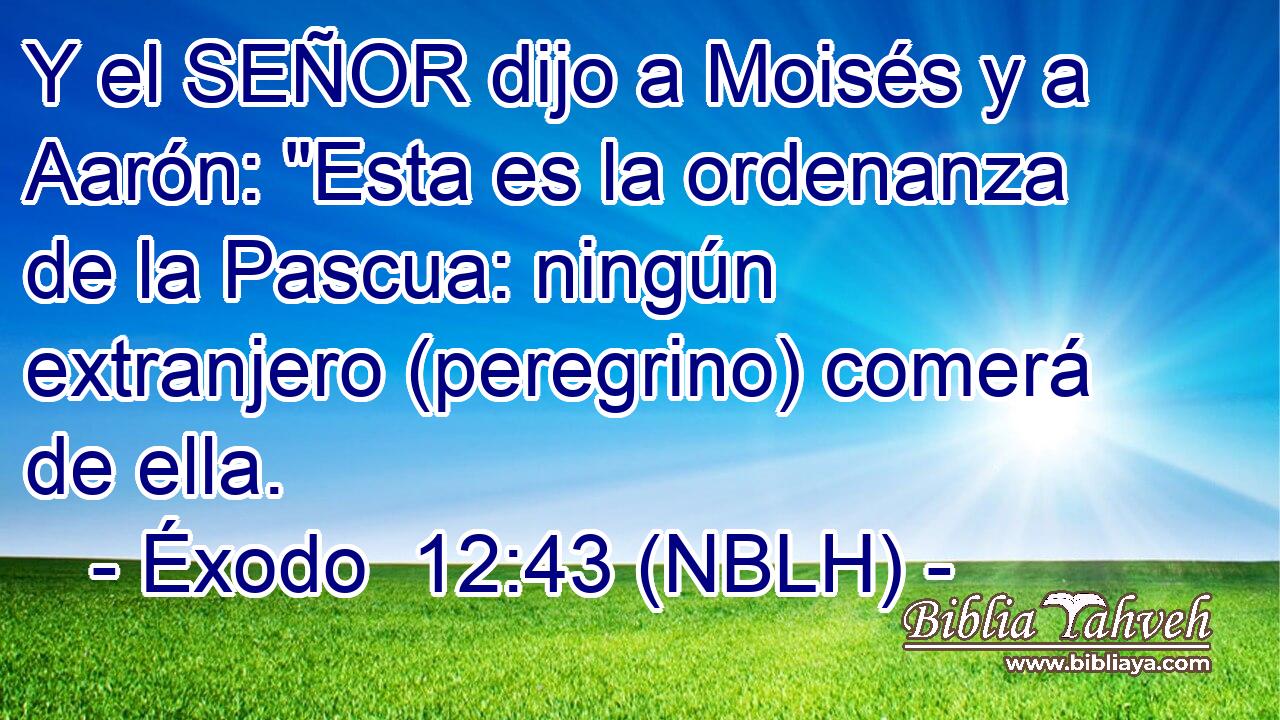  Y el SEÑOR dijo a Moisés y a Aarón: 
