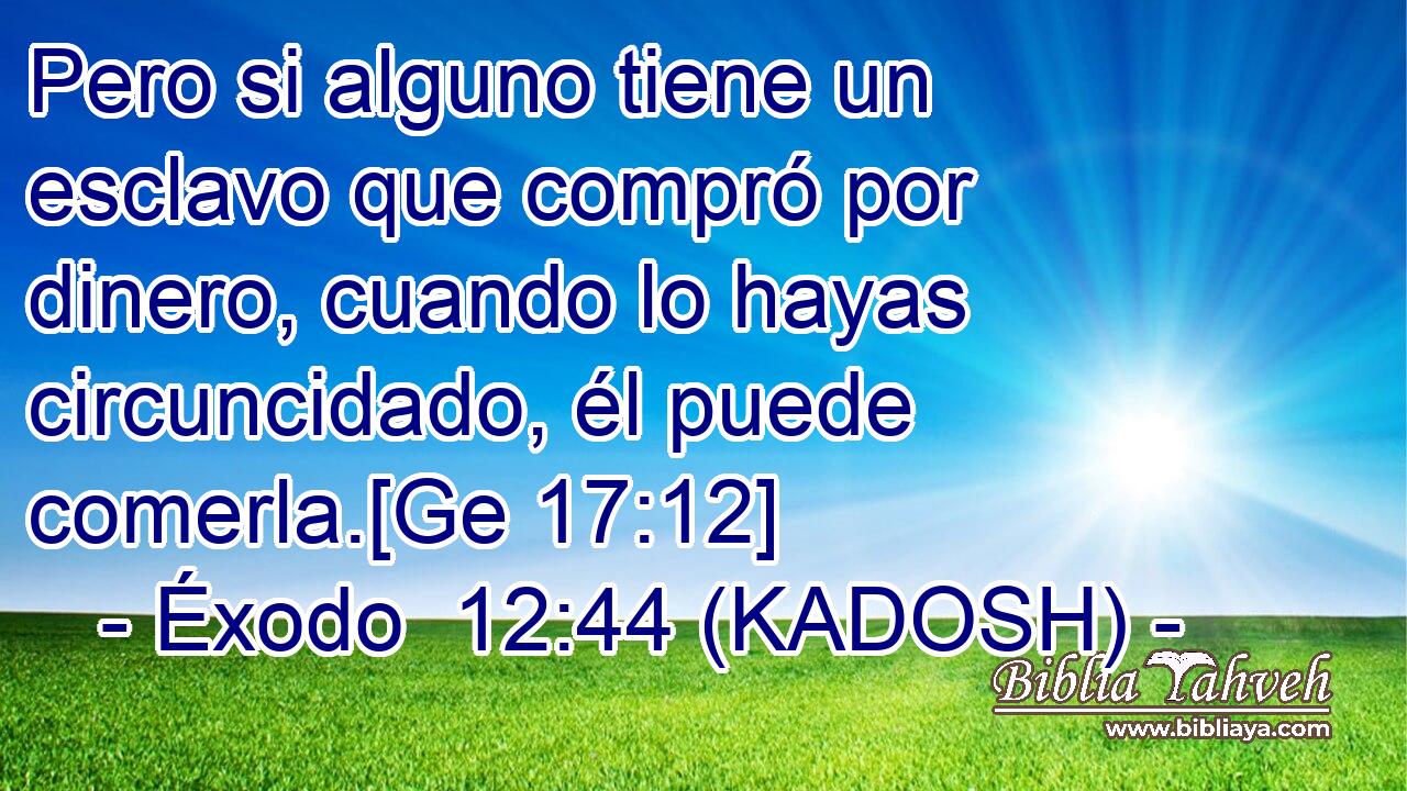  Pero si alguno tiene un esclavo que compró por dinero, cuando lo hayas circuncidado, él puede comerla.[Ge 17:12] 