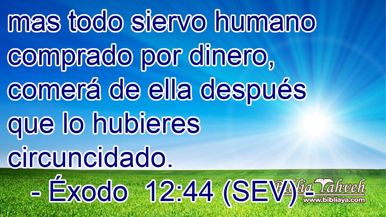 mas todo siervo humano comprado por dinero, comerá de ella después que lo hubieres circuncidado.
