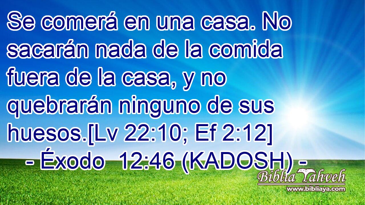  Se comerá en una casa. No sacarán nada de la comida fuera de la casa, y no quebrarán ninguno de sus huesos.[Lv 22:10; Ef 2:12] 