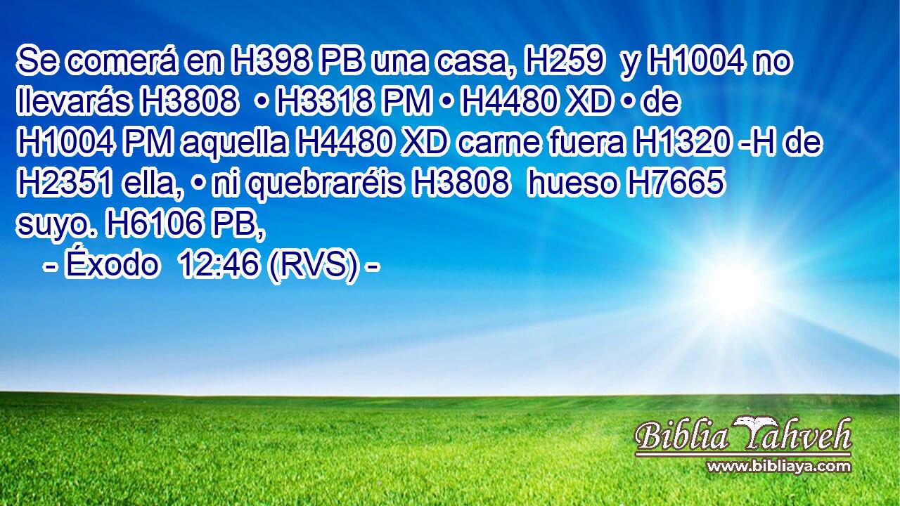 Se comerá en H398 PB una casa, H259  y H1004 no llevarás H3808  • H3318 PM • H4480 XD • de H1004 PM aquella H4480 XD carne fuera H1320 -H de H2351 ella, • ni quebraréis H3808  hueso H7665  suyo. H6106 PB,  