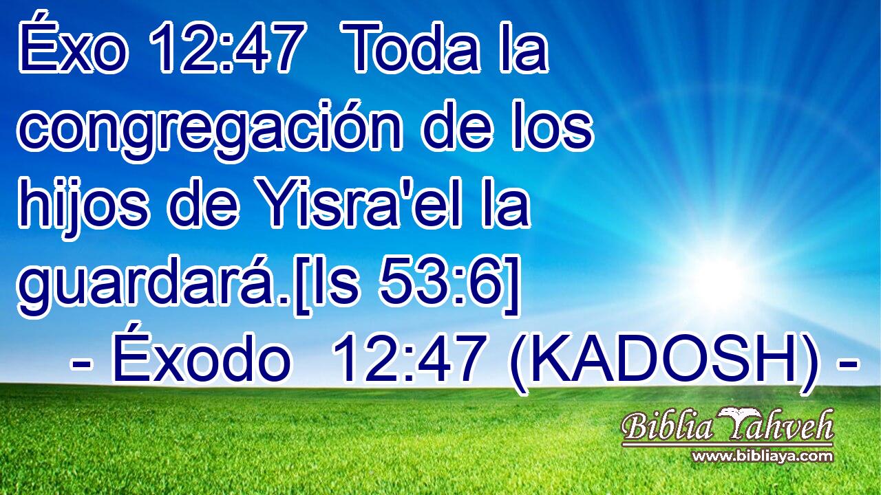  Toda la congregación de los hijos de Yisra'el la guardará.[Is 53:6] 