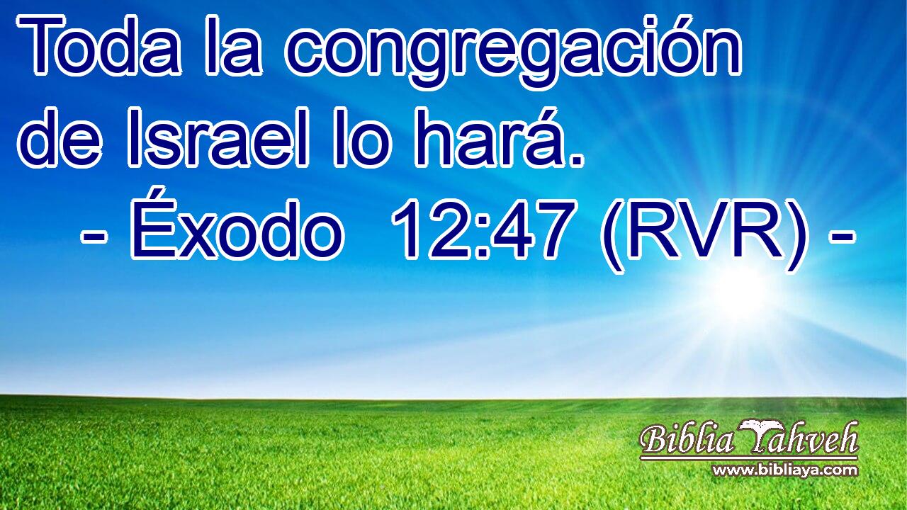 Toda la congregación de Israel lo hará.