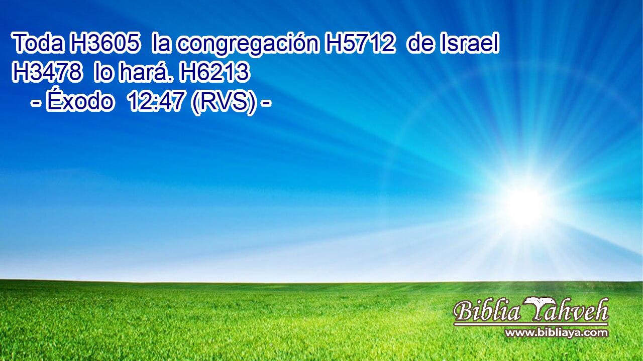 Toda H3605  la congregación H5712  de Israel H3478  lo hará. H6213  